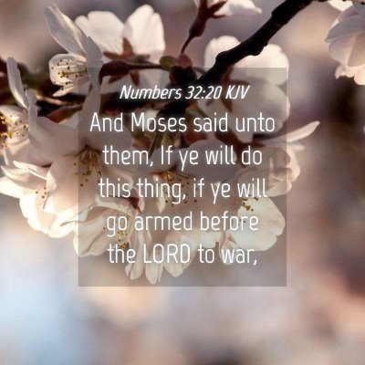 Picture 04 - Numbers 32:20 KJV - And Moses said unto them, If ye will do this - Bible Verse Picture