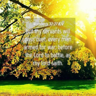Picture 04 - Numbers 32:27 KJV - But thy servants will pass over, every man armed - Bible Verse Picture