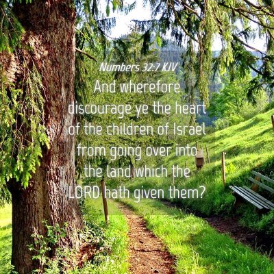 Picture 04 - Numbers 32:7 KJV - And wherefore discourage ye the heart of the - Bible Verse Picture