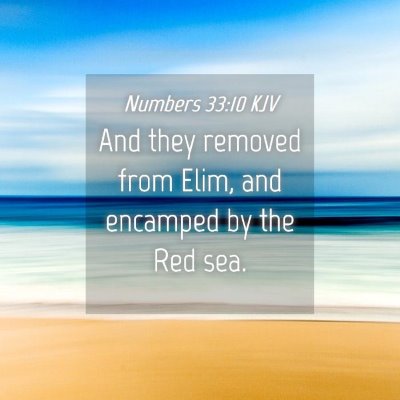 Picture 04 - Numbers 33:10 KJV - And they removed from Elim, and encamped by the - Bible Verse Picture