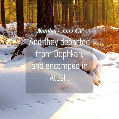 Picture 04 - Numbers 33:13 KJV - And they departed from Dophkah, and encamped in - Bible Verse Picture