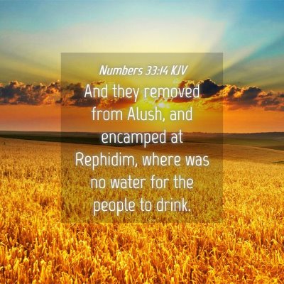 Picture 04 - Numbers 33:14 KJV - And they removed from Alush, and encamped at - Bible Verse Picture