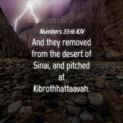 Picture 04 - Numbers 33:16 KJV - And they removed from the desert of Sinai, and - Bible Verse Picture