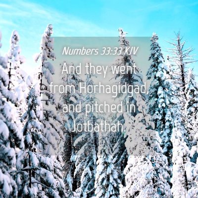 Picture 04 - Numbers 33:33 KJV - And they went from Horhagidgad, and pitched in - Bible Verse Picture