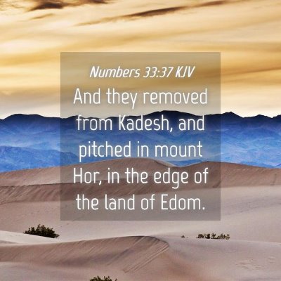 Picture 04 - Numbers 33:37 KJV - And they removed from Kadesh, and pitched in - Bible Verse Picture