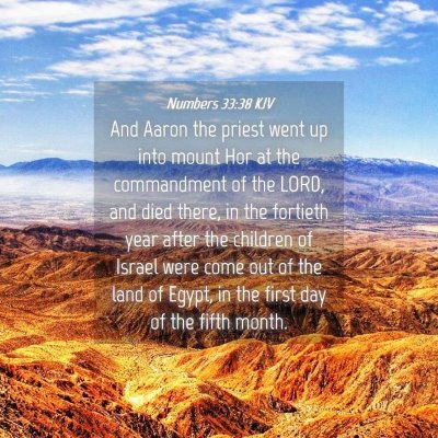 Picture 04 - Numbers 33:38 KJV - And Aaron the priest went up into mount Hor at - Bible Verse Picture