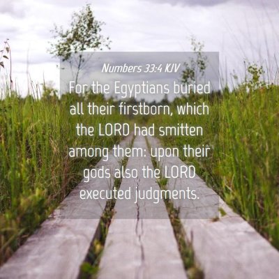 Picture 04 - Numbers 33:4 KJV - For the Egyptians buried all their firstborn, - Bible Verse Picture