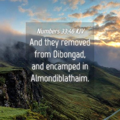 Picture 04 - Numbers 33:46 KJV - And they removed from Dibongad, and encamped in - Bible Verse Picture