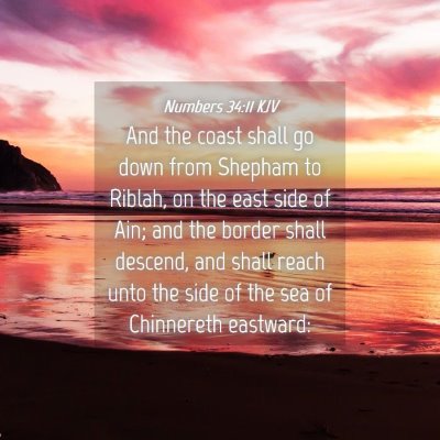 Picture 04 - Numbers 34:11 KJV - And the coast shall go down from Shepham to - Bible Verse Picture