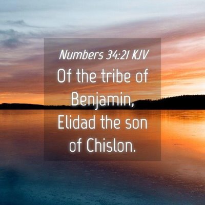 Picture 04 - Numbers 34:21 KJV - Of the tribe of Benjamin, Elidad the son of - Bible Verse Picture