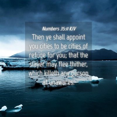 Picture 04 - Numbers 35:11 KJV - Then ye shall appoint you cities to be cities of - Bible Verse Picture