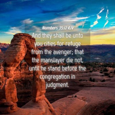 Picture 04 - Numbers 35:12 KJV - And they shall be unto you cities for refuge from - Bible Verse Picture