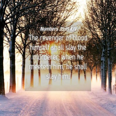 Picture 04 - Numbers 35:19 KJV - The revenger of blood himself shall slay the - Bible Verse Picture