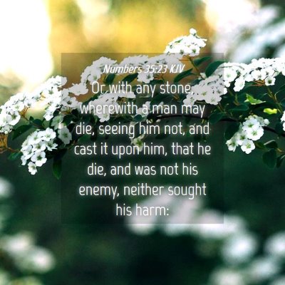 Picture 04 - Numbers 35:23 KJV - Or with any stone, wherewith a man may die, - Bible Verse Picture