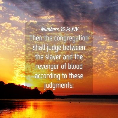Picture 04 - Numbers 35:24 KJV - Then the congregation shall judge between the - Bible Verse Picture