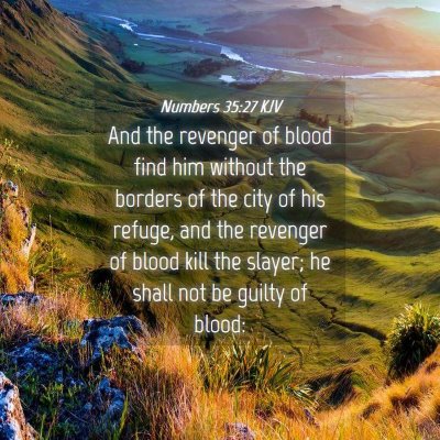 Picture 04 - Numbers 35:27 KJV - And the revenger of blood find him without the - Bible Verse Picture
