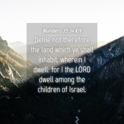 Picture 04 - Numbers 35:34 KJV - Defile not therefore the land which ye shall - Bible Verse Picture