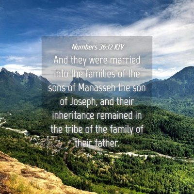Picture 04 - Numbers 36:12 KJV - And they were married into the families of the - Bible Verse Picture