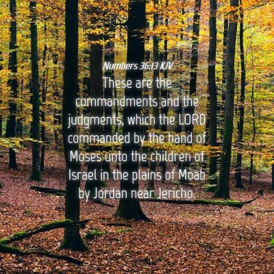 Picture 04 - Numbers 36:13 KJV - These are the commandments and the judgments, - Bible Verse Picture