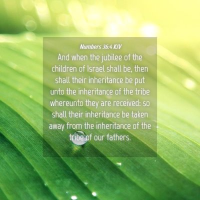 Picture 04 - Numbers 36:4 KJV - And when the jubilee of the children of Israel - Bible Verse Picture