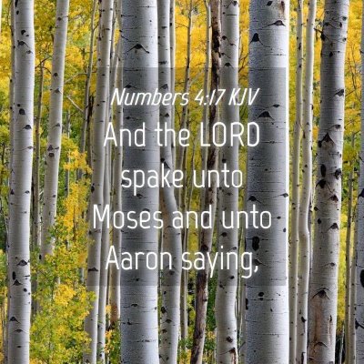 Picture 04 - Numbers 4:17 KJV - And the LORD spake unto Moses and unto Aaron - Bible Verse Picture