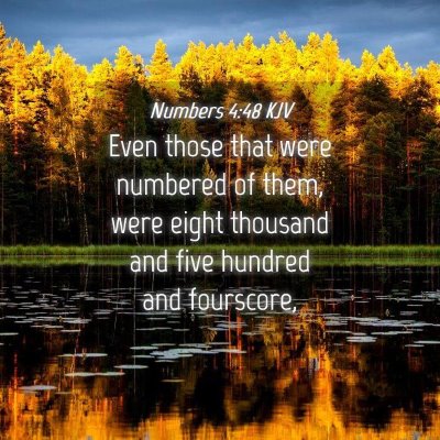Picture 04 - Numbers 4:48 KJV - Even those that were numbered of them, were eight - Bible Verse Picture