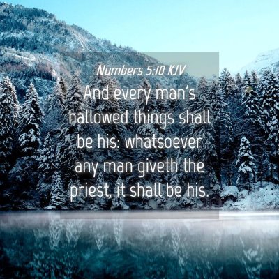 Picture 04 - Numbers 5:10 KJV - And every man's hallowed things shall be his: - Bible Verse Picture