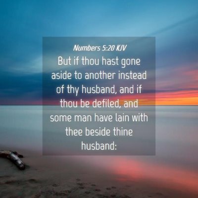 Picture 04 - Numbers 5:20 KJV - But if thou hast gone aside to another instead of - Bible Verse Picture