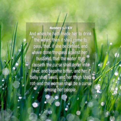 Picture 04 - Numbers 5:27 KJV - And when he hath made her to drink the water, - Bible Verse Picture