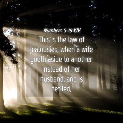 Picture 04 - Numbers 5:29 KJV - This is the law of jealousies, when a wife goeth - Bible Verse Picture