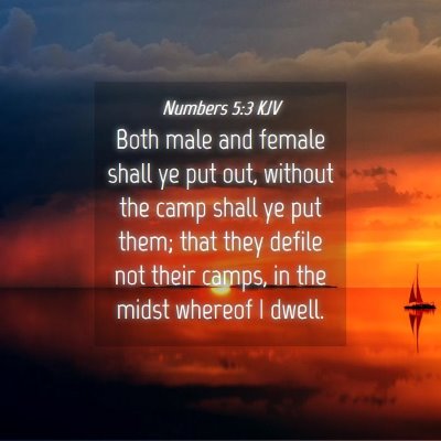 Picture 04 - Numbers 5:3 KJV - Both male and female shall ye put out, without - Bible Verse Picture