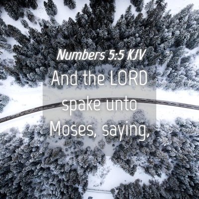 Picture 04 - Numbers 5:5 KJV - And the LORD spake unto Moses, - Bible Verse Picture