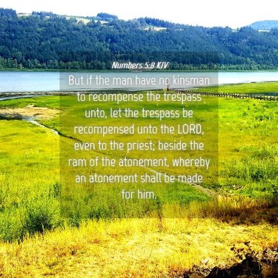 Picture 04 - Numbers 5:8 KJV - But if the man have no kinsman to recompense the - Bible Verse Picture