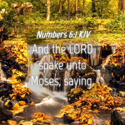 Picture 04 - Numbers 6:1 KJV - And the LORD spake unto Moses, - Bible Verse Picture