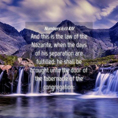 Picture 04 - Numbers 6:13 KJV - And this is the law of the Nazarite, when the - Bible Verse Picture