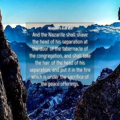 Picture 04 - Numbers 6:18 KJV - And the Nazarite shall shave the head of his - Bible Verse Picture