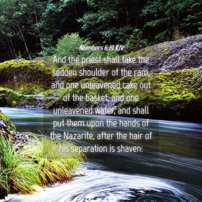 Picture 04 - Numbers 6:19 KJV - And the priest shall take the sodden shoulder of - Bible Verse Picture