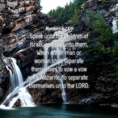 Picture 04 - Numbers 6:2 KJV - Speak unto the children of Israel, and say unto - Bible Verse Picture