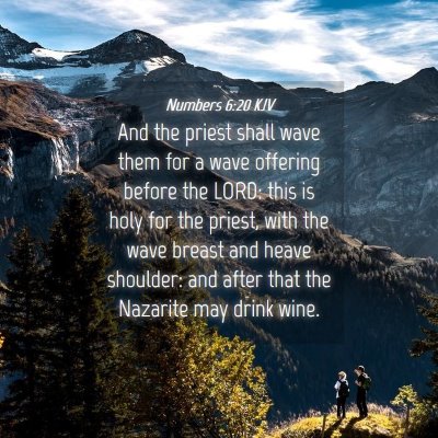 Picture 04 - Numbers 6:20 KJV - And the priest shall wave them for a wave - Bible Verse Picture