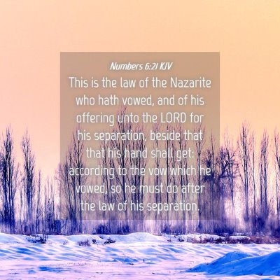 Picture 04 - Numbers 6:21 KJV - This is the law of the Nazarite who hath vowed, - Bible Verse Picture