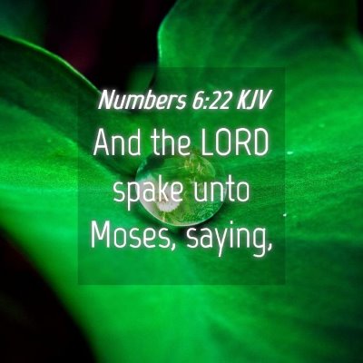 Picture 04 - Numbers 6:22 KJV - And the LORD spake unto Moses, - Bible Verse Picture