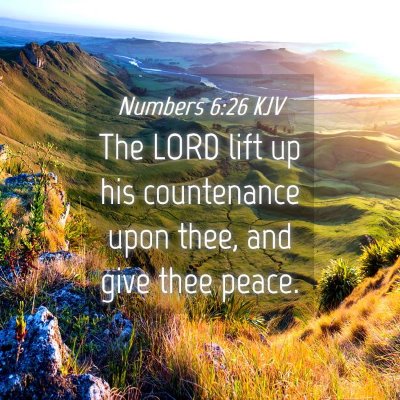 Picture 04 - Numbers 6:26 KJV - The LORD lift up his countenance upon thee, and - Bible Verse Picture
