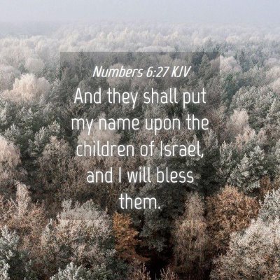 Picture 04 - Numbers 6:27 KJV - And they shall put my name upon the children of - Bible Verse Picture