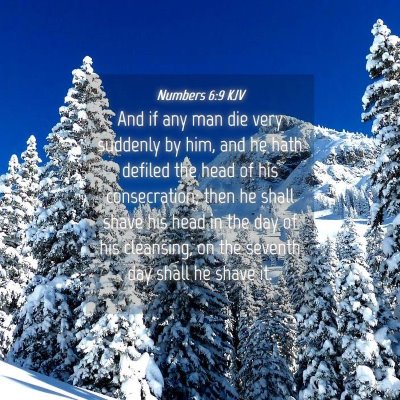 Picture 04 - Numbers 6:9 KJV - And if any man die very suddenly by him, and he - Bible Verse Picture