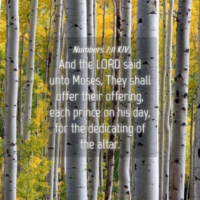 Picture 04 - Numbers 7:11 KJV - And the LORD said unto Moses, They shall offer - Bible Verse Picture