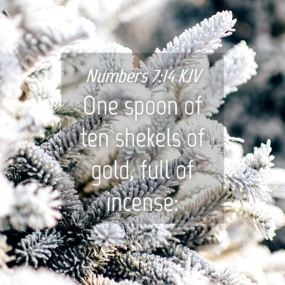 Picture 04 - Numbers 7:14 KJV - One spoon of ten shekels of gold, full of - Bible Verse Picture