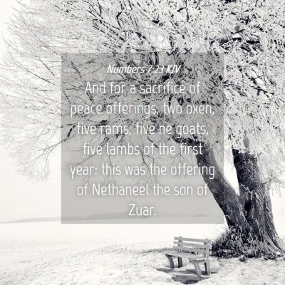 Picture 04 - Numbers 7:23 KJV - And for a sacrifice of peace offerings, two oxen, - Bible Verse Picture