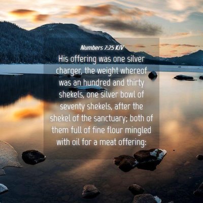 Picture 04 - Numbers 7:25 KJV - His offering was one silver charger, the weight - Bible Verse Picture