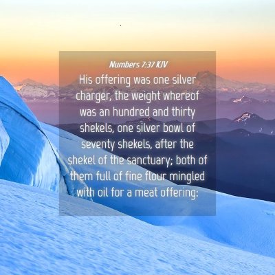 Picture 04 - Numbers 7:37 KJV - His offering was one silver charger, the weight - Bible Verse Picture