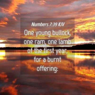 Picture 04 - Numbers 7:39 KJV - One young bullock, one ram, one lamb of the first - Bible Verse Picture